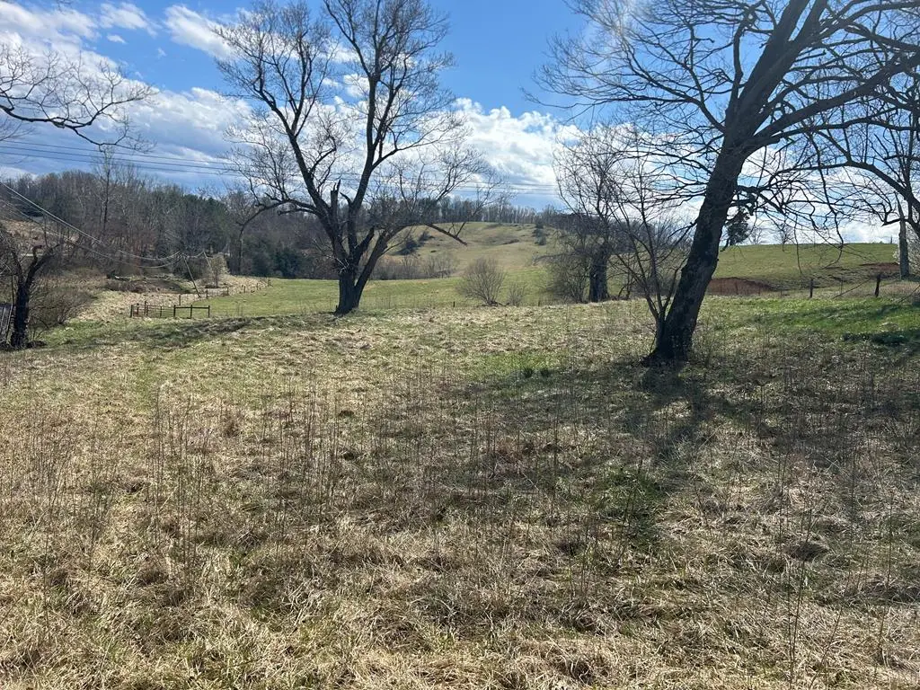 TBD Cedar Creek Rd, Meadowview, VA 24361 - Image #1