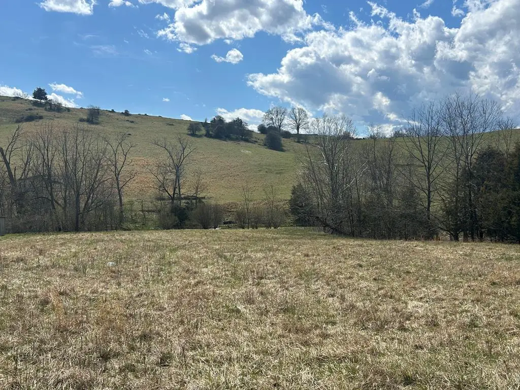 TBD Cedar Creek Rd., Meadowview, VA 24361 - Image #1