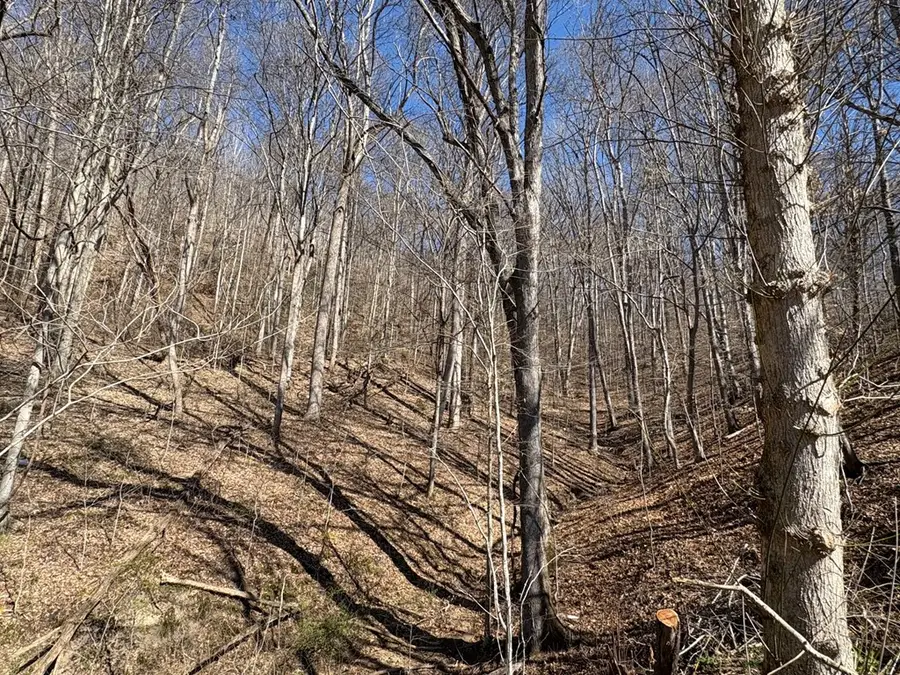 TBD Clark Street, Saltville, VA 24370 - #3