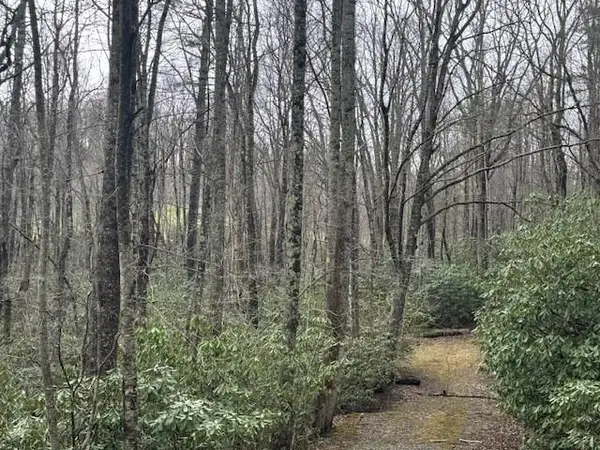 TBD Crooked Creek Lane, Fancy Gap, VA 24328