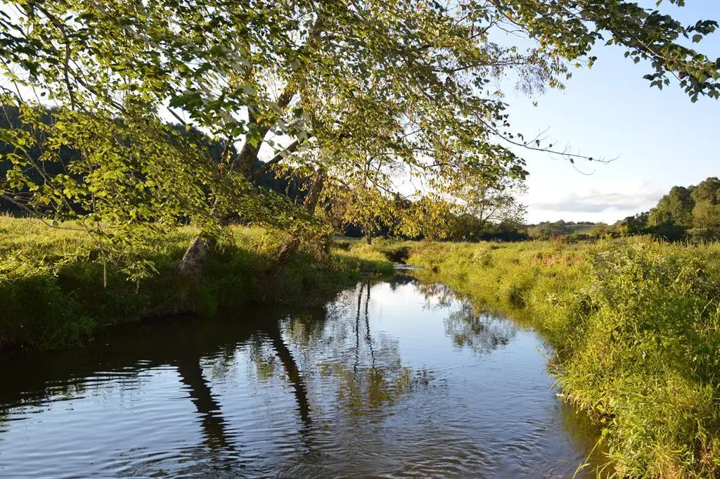 TBD Redgate Drive, Mouth Of Wilson, VA 24363 - Image #1