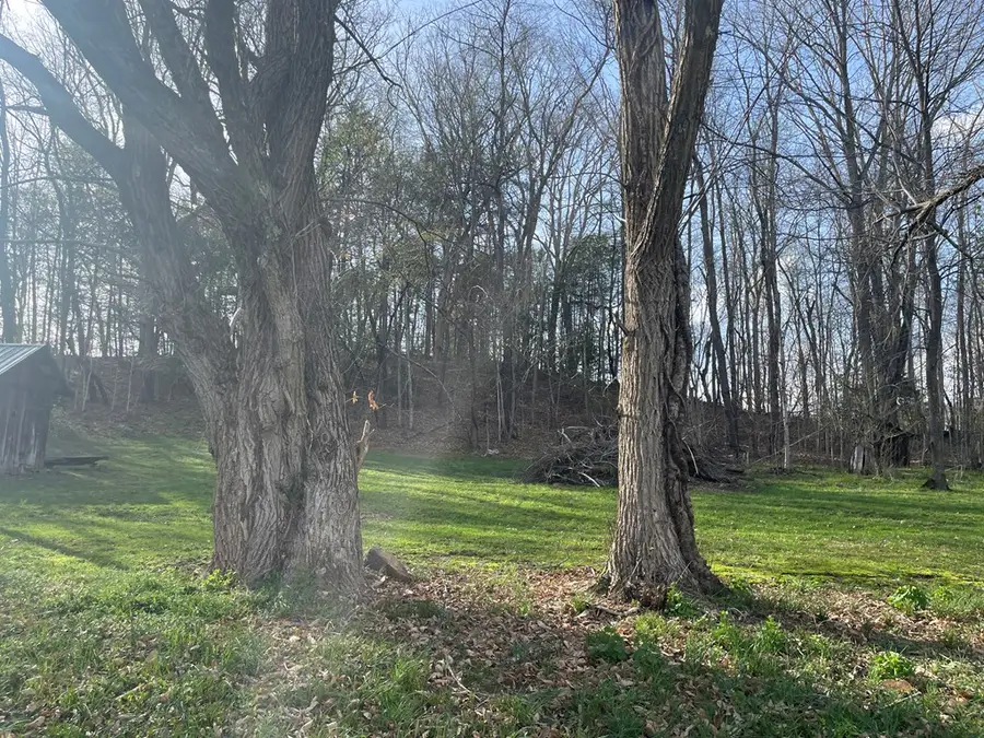 TBD (Lot E) Daw Road, Raven, VA 24639 - Image #2