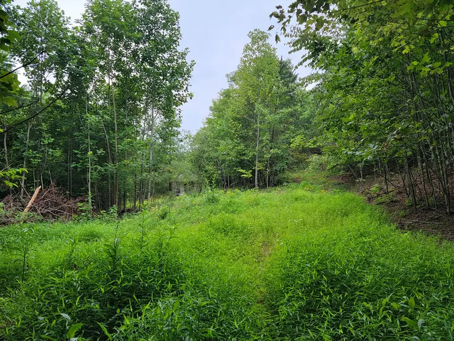 TBD Spring Valley Rd, Elk Creek, VA 24326 - Image #2