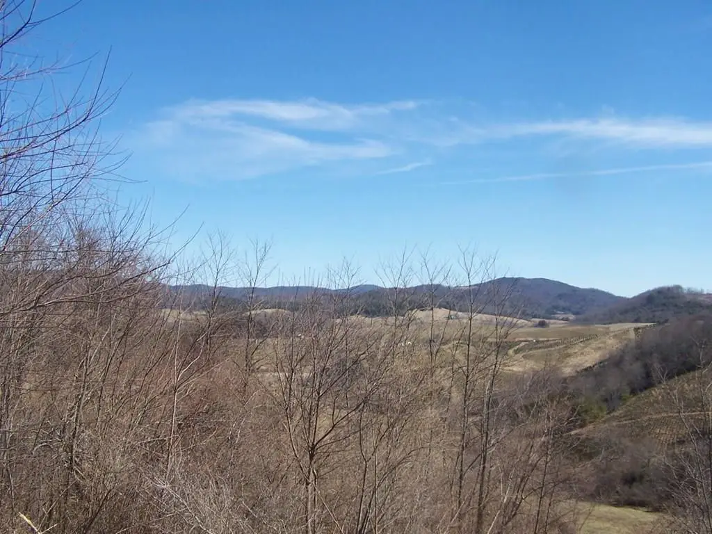 Lot #5 off Mountain Meadows Lane, Elk Creek, VA 24326 - Image #1