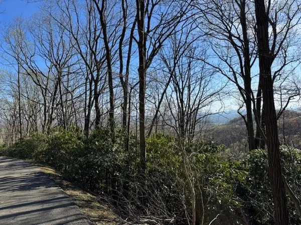 TBD Buck Hollar Rd., Hillsville, VA 24343