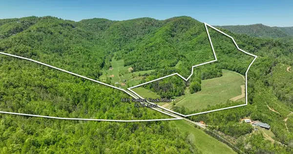 1619 Squirrel Creek Rd, Ararat, VA 24053