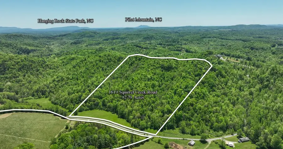 1619 Squirrel Creek Rd, Ararat, VA 24053 - Image #2