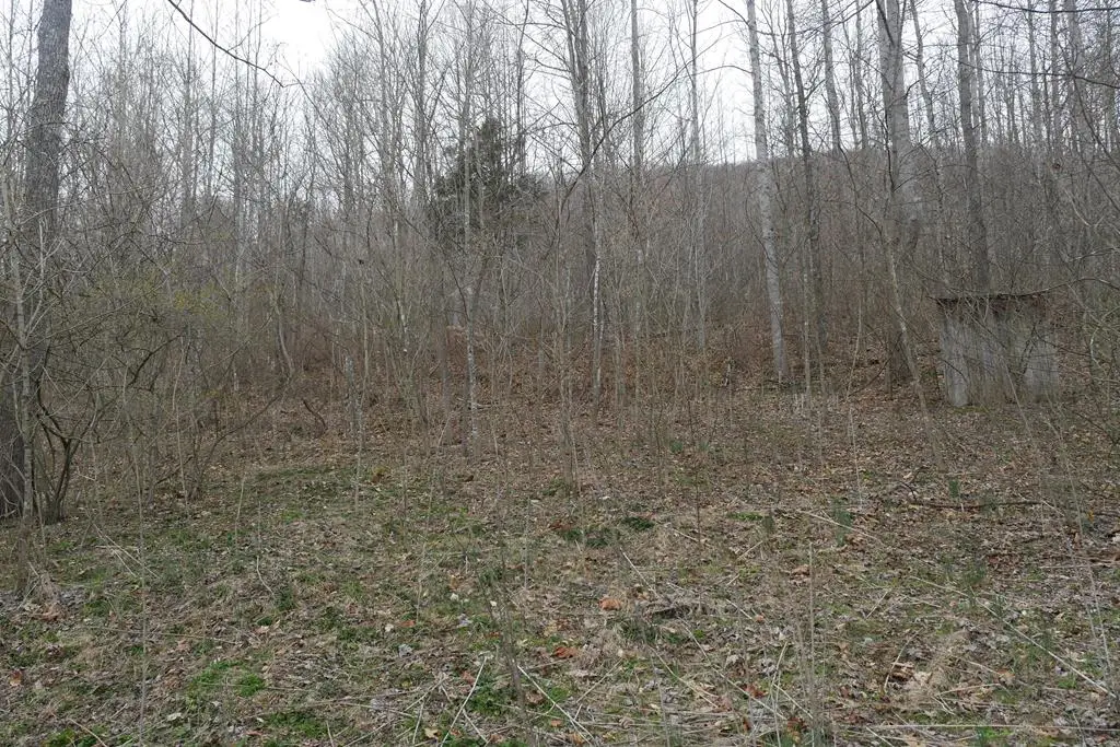 TBD Old Mill Road, Glade Spring, VA 24340 - Image #1