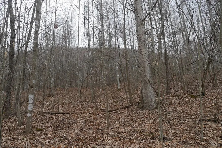 TBD Old Mill Road, Glade Spring, VA 24340 - Image #2