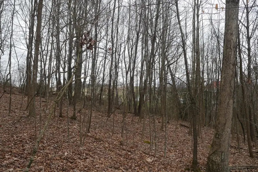 TBD Old Mill Road, Glade Spring, VA 24340 - Image #3