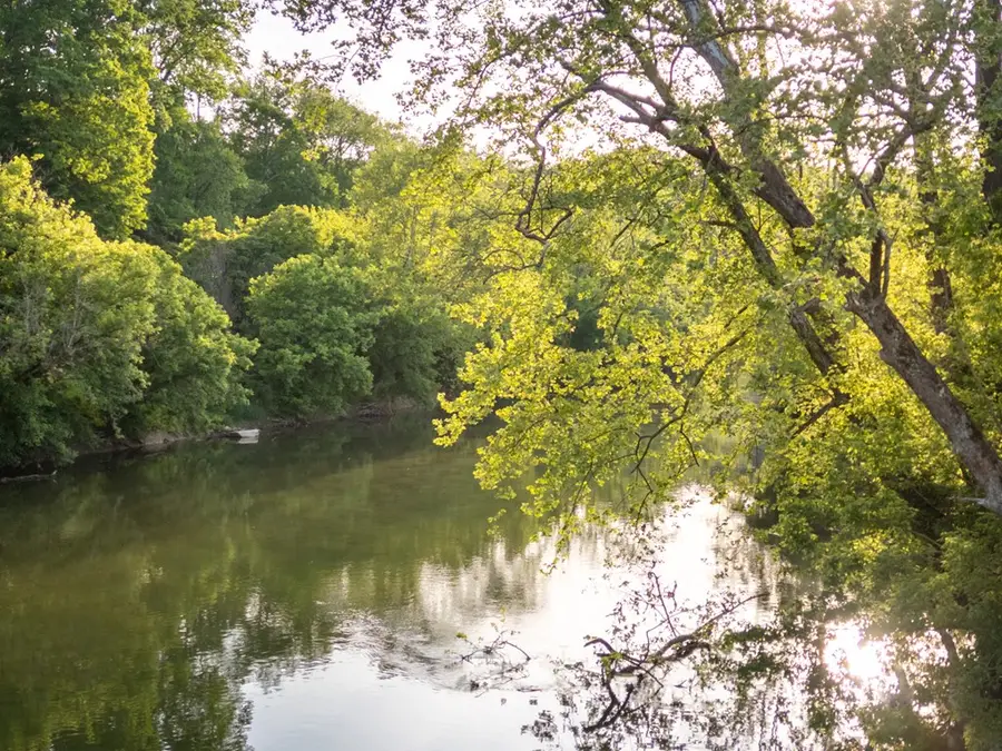 123 Luttie Banner Rd, Castlewood, VA 24224 - Image #3