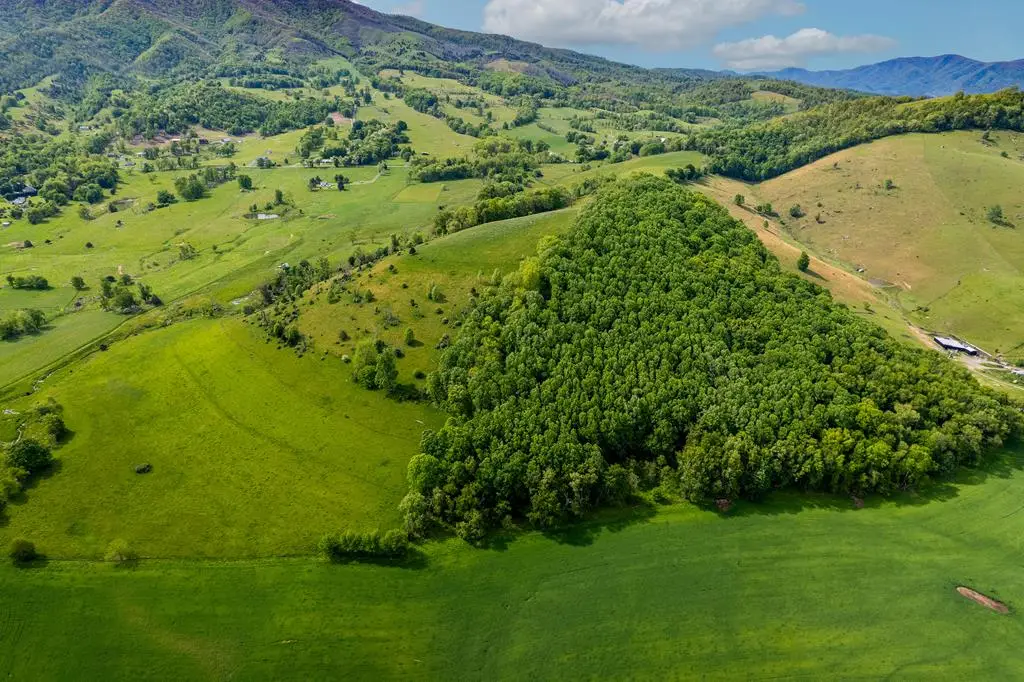 TBD Settle Lane, Lebanon, VA 24266 - Image #1