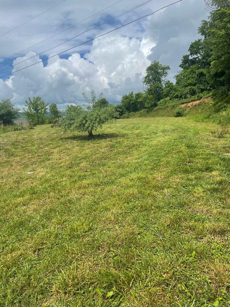 TBD Deer Ridge Trail, Tazewell, VA 24651 - #2