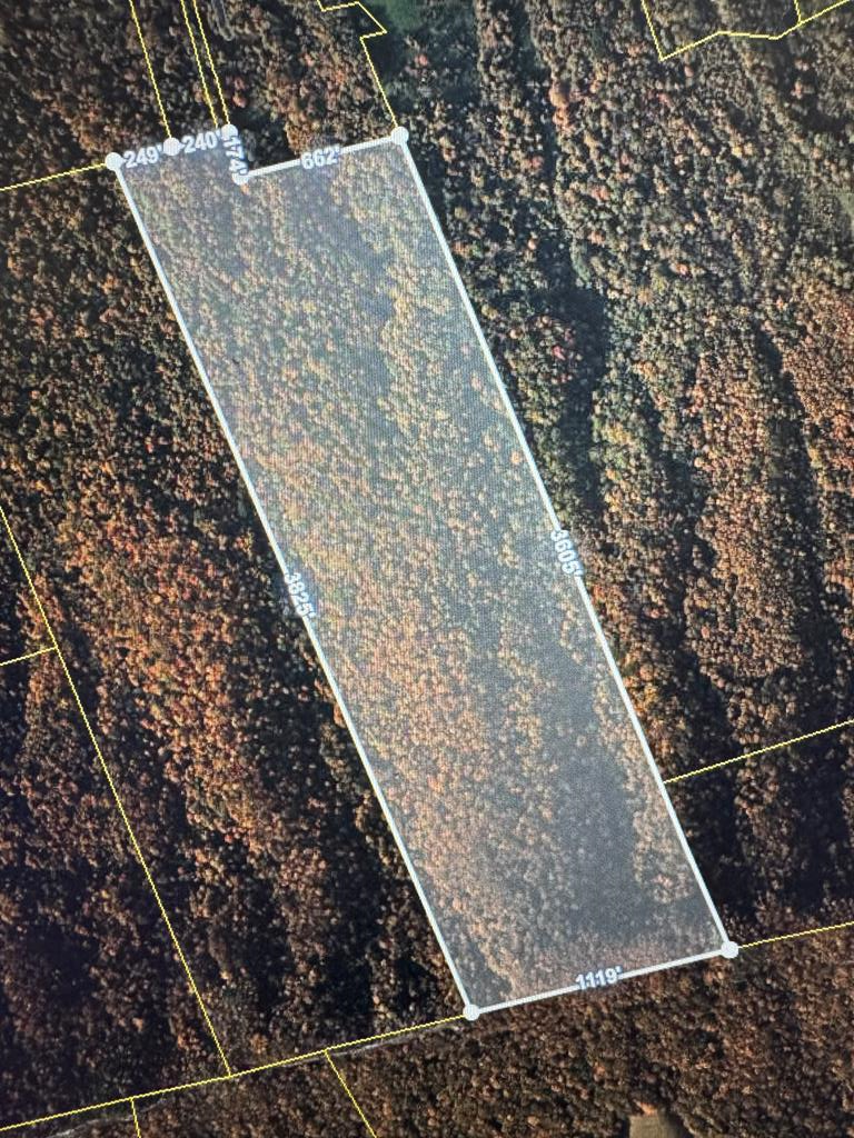 195 Kulchar Lane, Tazewell, VA 24651 - #1