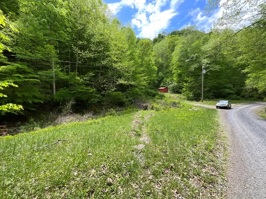 TBD Seven Springs Hlw Rd, Castlewood, VA 24224 - Image #3