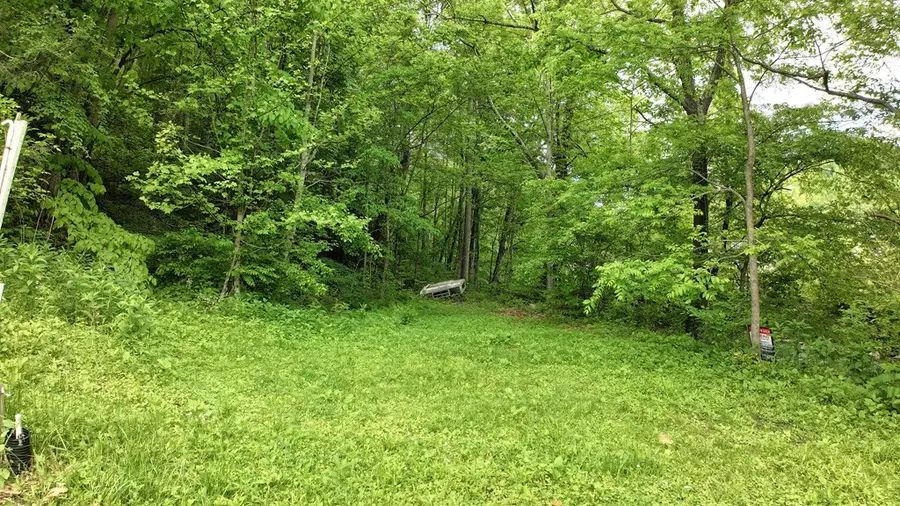 TBD Carl Vance, Swords Creek, VA 24649 - #2