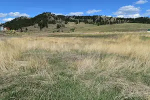 TBD Sandpiper Way, REPUBLIC, WA 99166