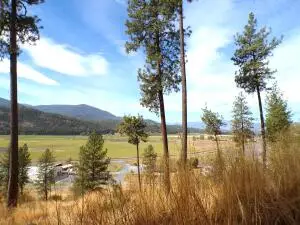 2XX Hwy 395 N Hwy, COLVILLE, WA 99114