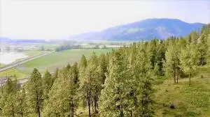 2XX Hwy 395 N Hwy, Colville, WA 99114 - #3