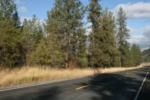 XX Wa-231, SPRINGDALE, WA 99173