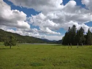 36XX Deep Lake Boundary Rd, COLVILLE, WA 99114