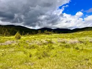 TBD Big Goosmus Crk Rd, Curlew, WA 99118 - Image #2