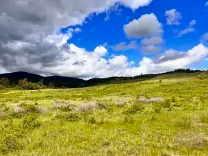 TBD Big Goosmus Crk Rd, Curlew, WA 99118 - Image #3