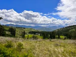 293 Big Goosmus Crk Rd, CURLEW, WA 99118