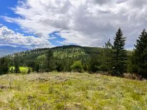 293 Big Goosmus Crk Rd, Curlew, WA 99118 - Image #2