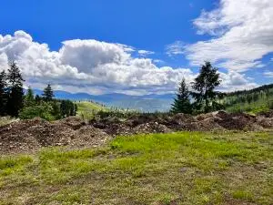 293 Big Goosmus Crk Rd, Curlew, WA 99118 - Image #3