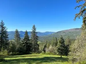 47 XX Godfrey Rd, Northport, WA 99157 - Image #3