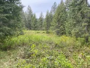345X Lael Road, KETTLE FALLS, WA 99141