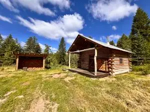 177 First Creek Rd, Curlew, WA 99118 - #1