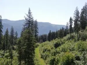 LOT 4 Matsen Creek Rd, Kettle Falls, WA 99141 - Image #2