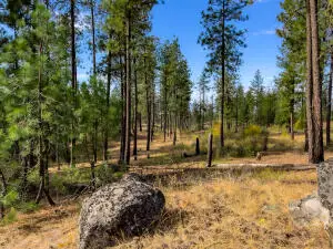 TBD Coyote Canyon Rd, Fruitland, WA 99129 - Image #1