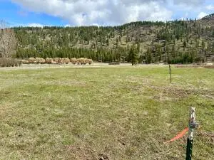 TBD Red Marble Rd, Chewelah, WA 99109 - Image #2