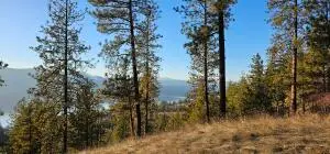 34XX Daisy Mine Rd, Rice, WA 99167 - Image #2