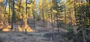 34XX Daisy Mine Rd, Rice, WA 99167 - Image #3