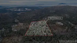 786X Arden Butte Rd, Colville, WA 99114 - Image #2