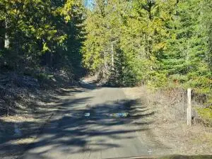 3378 H Hill Loop Rd, Kettle Falls, WA 99141 - Image #2