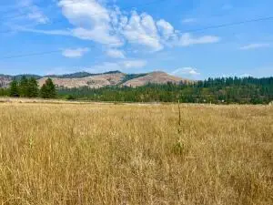 TBD Hwy 395 North, KETTLE FALLS, WA 99141