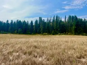 TBD Hwy 395 North, Kettle Falls, WA 99141 - Image #3