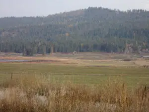 TBD Long Prairie Or Bitteridge Rd. Rd, Valley, WA 99181 - Image #3