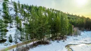 2529 Hall Creek Rd, Inchelium, WA 99138 - Image #1