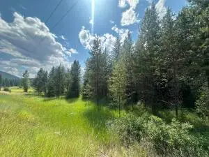 3331 Deep Lake Boundary Rd, Colville, WA 99114 - Image #2