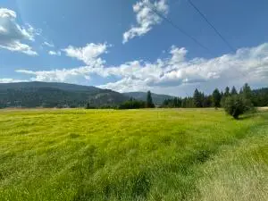 3331 Deep Lake Boundary Rd, Colville, WA 99114 - Image #3