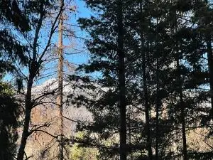 4128 N Stone Mountain Way, Colville, WA 99114 - Image #2