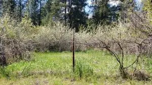 Address Withheld By Seller, Kettle Falls, WA 99141 - Image #3