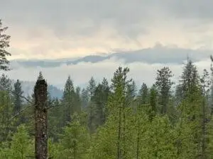 468X LOT B Grouse Creek Rd, CHEWELAH, WA 99109