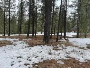 4XX Couples Ct, Chewelah, WA 99109 - Image #2